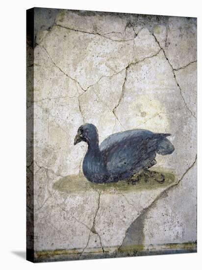 Italy, Naples, Naples Museum, from the Villa of Arianna in Stabiae, Crouching bird-Samuel Magal-Stretched Canvas