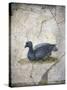 Italy, Naples, Naples Museum, from the Villa of Arianna in Stabiae, Crouching bird-Samuel Magal-Stretched Canvas