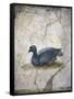 Italy, Naples, Naples Museum, from the Villa of Arianna in Stabiae, Crouching bird-Samuel Magal-Framed Stretched Canvas