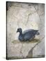 Italy, Naples, Naples Museum, from the Villa of Arianna in Stabiae, Crouching bird-Samuel Magal-Stretched Canvas