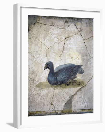 Italy, Naples, Naples Museum, from the Villa of Arianna in Stabiae, Crouching bird-Samuel Magal-Framed Photographic Print