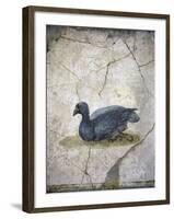 Italy, Naples, Naples Museum, from the Villa of Arianna in Stabiae, Crouching bird-Samuel Magal-Framed Photographic Print