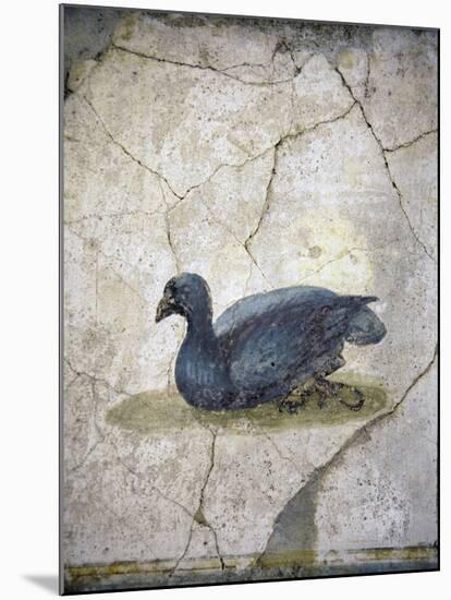 Italy, Naples, Naples Museum, from the Villa of Arianna in Stabiae, Crouching bird-Samuel Magal-Mounted Photographic Print