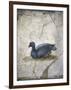 Italy, Naples, Naples Museum, from the Villa of Arianna in Stabiae, Crouching bird-Samuel Magal-Framed Photographic Print