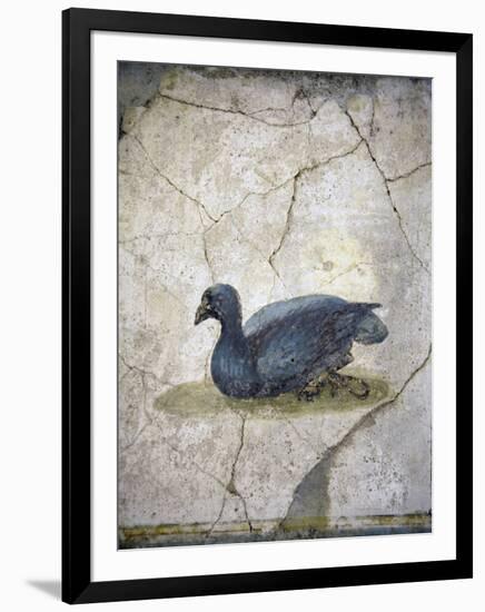 Italy, Naples, Naples Museum, from the Villa of Arianna in Stabiae, Crouching bird-Samuel Magal-Framed Photographic Print