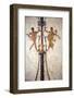 Italy, Naples, Naples Museum, from the Villa of Arianna in Stabiae, Naked Flying Figures-Samuel Magal-Framed Photographic Print