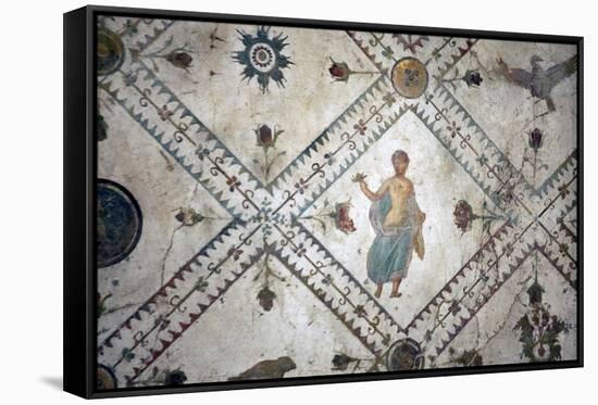 Italy, Naples, Naples Museum, from the Villa of Arianna in Stabiae, Wall Decoration-Samuel Magal-Framed Stretched Canvas