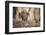 Italy, Naples, Naples Museum, The Centaur at the Wedding of Pirithous and Hippodamia-Samuel Magal-Framed Photographic Print