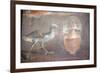 Italy, Naples, Naples National Archeological Museum, from Herculaneum, Still-life with Chicken-Samuel Magal-Framed Photographic Print