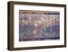 Italy, Naples, Naples National Archeological Museum, from Pompeii, Maritime Landscape-Samuel Magal-Framed Photographic Print