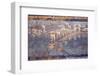 Italy, Naples, Naples National Archeological Museum, from Pompeii, Maritime Landscape-Samuel Magal-Framed Photographic Print