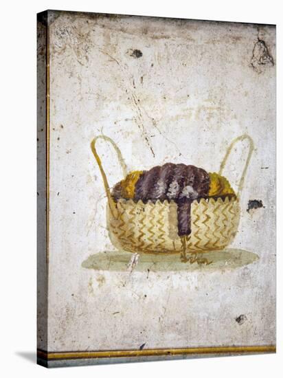 Italy, Naples, Naples National Archeological Museum, from the Villa of Arianna in Stabiae, Basket-Samuel Magal-Stretched Canvas