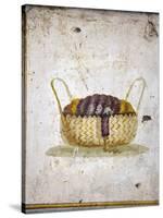 Italy, Naples, Naples National Archeological Museum, from the Villa of Arianna in Stabiae, Basket-Samuel Magal-Stretched Canvas