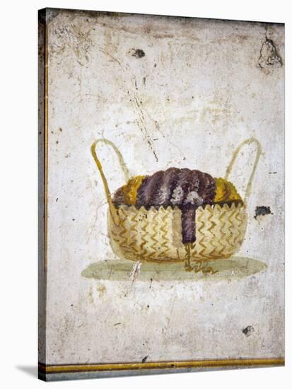 Italy, Naples, Naples National Archeological Museum, from the Villa of Arianna in Stabiae, Basket-Samuel Magal-Stretched Canvas