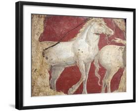 Italy, Naples, Naples National Archeological Museum, from the Villa of Arianna in Stabiae, Horses-Samuel Magal-Framed Photographic Print