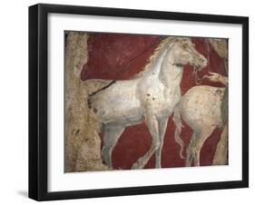 Italy, Naples, Naples National Archeological Museum, from the Villa of Arianna in Stabiae, Horses-Samuel Magal-Framed Photographic Print