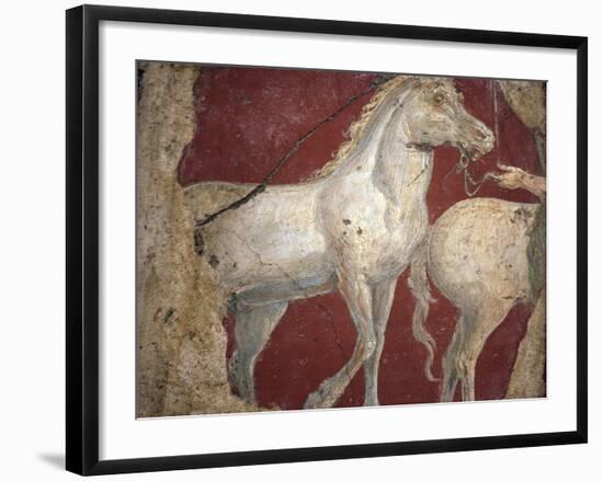 Italy, Naples, Naples National Archeological Museum, from the Villa of Arianna in Stabiae, Horses-Samuel Magal-Framed Photographic Print