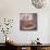 Italy, Naples, Naples National Archeological Museum, Herculaneum, Still Life with Bread and Figs-Samuel Magal-Photographic Print displayed on a wall