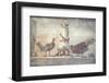 Italy, Naples, Naples National Archeological Museum, Rooster and Hen-Samuel Magal-Framed Photographic Print