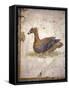 Italy, Naples, Naples National Archeological Museum, Stabiae, Villa of Arianna (15), Birds-Samuel Magal-Framed Stretched Canvas