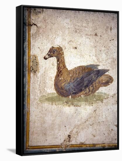 Italy, Naples, Naples National Archeological Museum, Stabiae, Villa of Arianna (15), Birds-Samuel Magal-Framed Stretched Canvas