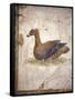 Italy, Naples, Naples National Archeological Museum, Stabiae, Villa of Arianna (15), Birds-Samuel Magal-Framed Stretched Canvas