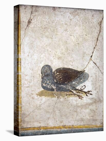 Italy, Naples, Naples National Archeological Museum, Stabiae, Villa of Arianna (15), Birds-Samuel Magal-Stretched Canvas