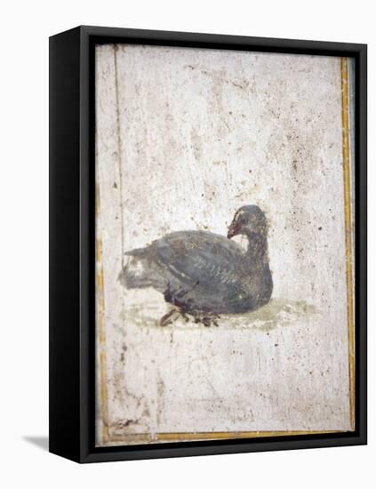 Italy, Naples, Naples National Archeological Museum, Stabiae, Villa of Arianna (15), Birds-Samuel Magal-Framed Stretched Canvas