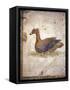 Italy, Naples, Naples National Archeological Museum, Stabiae, Villa of Arianna (15), Birds-Samuel Magal-Framed Stretched Canvas