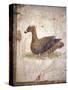 Italy, Naples, Naples National Archeological Museum, Stabiae, Villa of Arianna (15), Birds-Samuel Magal-Stretched Canvas