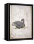 Italy, Naples, Naples National Archeological Museum, Stabiae, Villa of Arianna (15), Birds-Samuel Magal-Framed Stretched Canvas