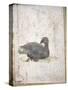 Italy, Naples, Naples National Archeological Museum, Stabiae, Villa of Arianna (15), Birds-Samuel Magal-Stretched Canvas