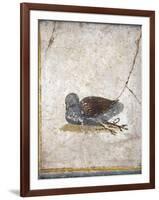 Italy, Naples, Naples National Archeological Museum, Stabiae, Villa of Arianna (15), Birds-Samuel Magal-Framed Photographic Print