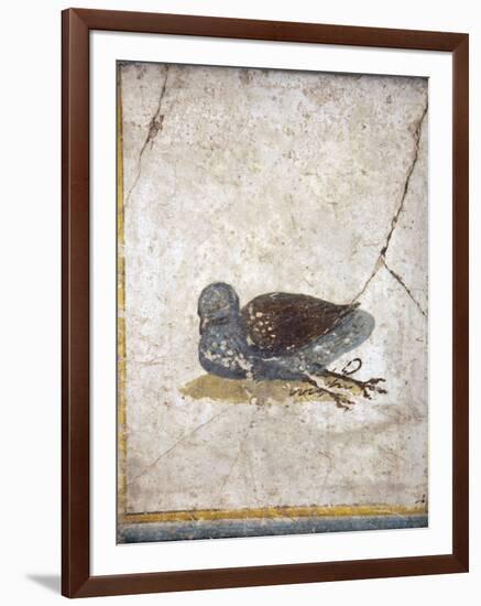 Italy, Naples, Naples National Archeological Museum, Stabiae, Villa of Arianna (15), Birds-Samuel Magal-Framed Photographic Print