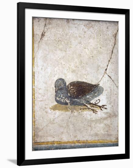 Italy, Naples, Naples National Archeological Museum, Stabiae, Villa of Arianna (15), Birds-Samuel Magal-Framed Photographic Print