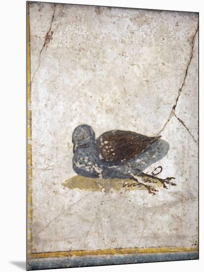 Italy, Naples, Naples National Archeological Museum, Stabiae, Villa of Arianna (15), Birds-Samuel Magal-Mounted Photographic Print