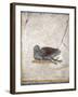 Italy, Naples, Naples National Archeological Museum, Stabiae, Villa of Arianna (15), Birds-Samuel Magal-Framed Photographic Print