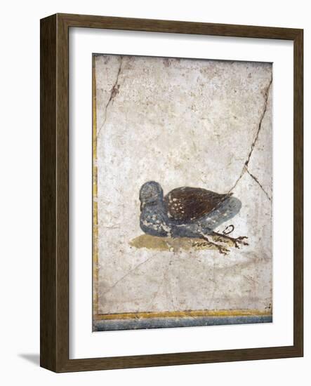 Italy, Naples, Naples National Archeological Museum, Stabiae, Villa of Arianna (15), Birds-Samuel Magal-Framed Photographic Print