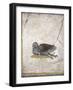 Italy, Naples, Naples National Archeological Museum, Stabiae, Villa of Arianna (15), Birds-Samuel Magal-Framed Photographic Print