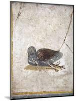 Italy, Naples, Naples National Archeological Museum, Stabiae, Villa of Arianna (15), Birds-Samuel Magal-Mounted Photographic Print