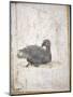 Italy, Naples, Naples National Archeological Museum, Stabiae, Villa of Arianna (15), Birds-Samuel Magal-Mounted Photographic Print