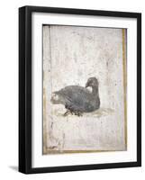 Italy, Naples, Naples National Archeological Museum, Stabiae, Villa of Arianna (15), Birds-Samuel Magal-Framed Photographic Print