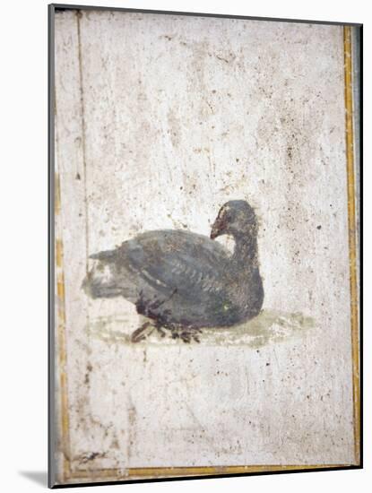 Italy, Naples, Naples National Archeological Museum, Stabiae, Villa of Arianna (15), Birds-Samuel Magal-Mounted Photographic Print