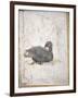 Italy, Naples, Naples National Archeological Museum, Stabiae, Villa of Arianna (15), Birds-Samuel Magal-Framed Photographic Print