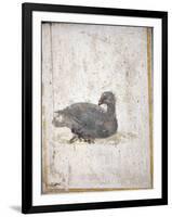 Italy, Naples, Naples National Archeological Museum, Stabiae, Villa of Arianna (15), Birds-Samuel Magal-Framed Photographic Print