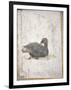 Italy, Naples, Naples National Archeological Museum, Stabiae, Villa of Arianna (15), Birds-Samuel Magal-Framed Photographic Print
