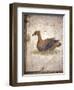 Italy, Naples, Naples National Archeological Museum, Stabiae, Villa of Arianna (15), Birds-Samuel Magal-Framed Photographic Print