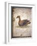 Italy, Naples, Naples National Archeological Museum, Stabiae, Villa of Arianna (15), Birds-Samuel Magal-Framed Photographic Print