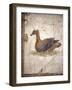 Italy, Naples, Naples National Archeological Museum, Stabiae, Villa of Arianna (15), Birds-Samuel Magal-Framed Photographic Print