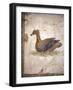 Italy, Naples, Naples National Archeological Museum, Stabiae, Villa of Arianna (15), Birds-Samuel Magal-Framed Photographic Print